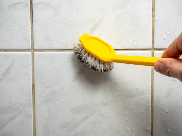 Best Localized Mold Remediation (e.g., coastal areas, humid climates) in Saugerties South, NY